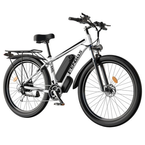Vélo électrique FENGQS Q8, moteur 750 W, 48 V, 17,5 Ah, 50 km/h
