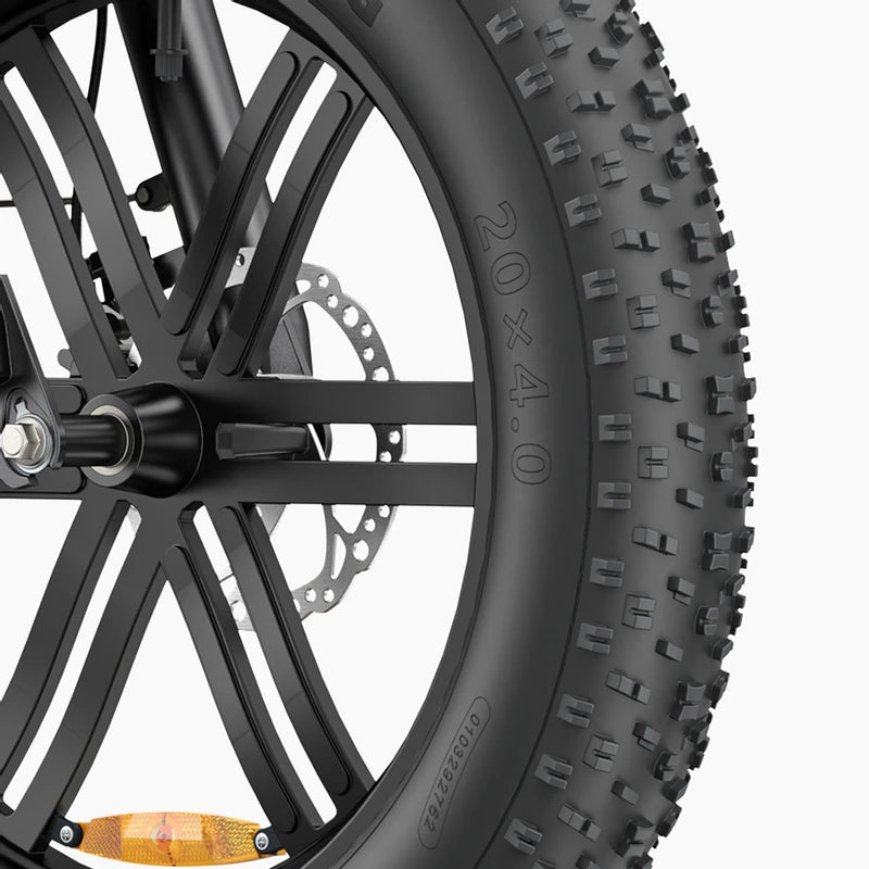 ENGWE L20 Boost
 Vélo électrique 250 W avec capteur de couple et de puissance, 126 km