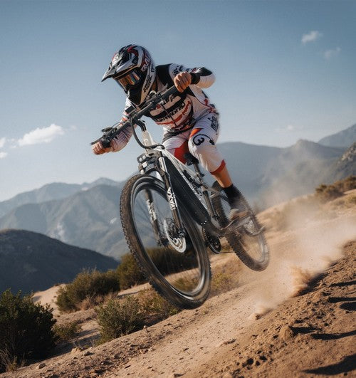 Vélo électrique DUOTTS E29, moteur 250 W, batterie 48 V 13,5 Ah, 27,5 pouces