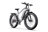 Vélo électrique DUOTTS F26Lite