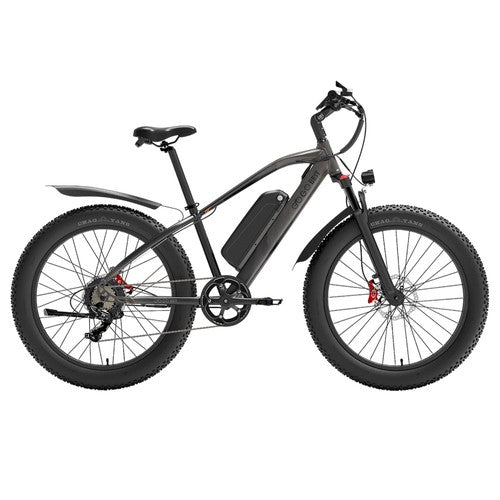 Vélo électrique GOGOBEST GF600 Plus, moteur 1000 W, 48 V 20 Ah