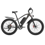 Vélo électrique GOGOBEST GF600 Plus, moteur 1000 W, 48 V 20 Ah