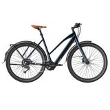Vélo électrique Fafrees F700W 100 km