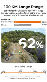 Vélo électrique ENGWE Pro 3.0 Boost, moteur 250 W, batterie 48 V 15 Ah