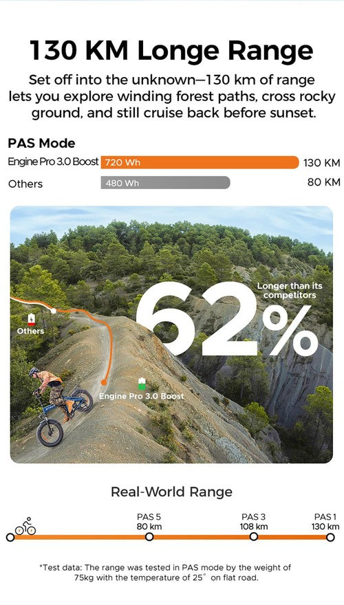 Vélo électrique ENGWE Pro 3.0 Boost, moteur 250 W, batterie 48 V 15 Ah