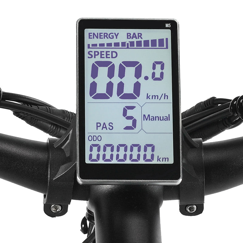 Vélo électrique PHILODO H7 Pro 1000W 